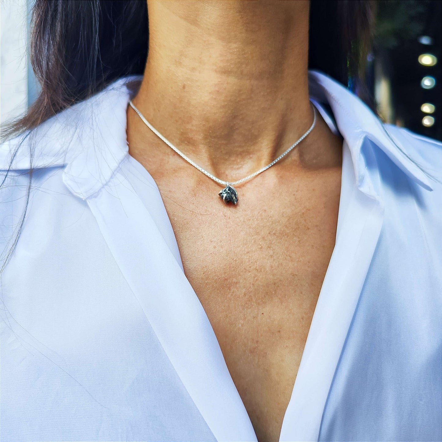 Collar meteorito plata de ley